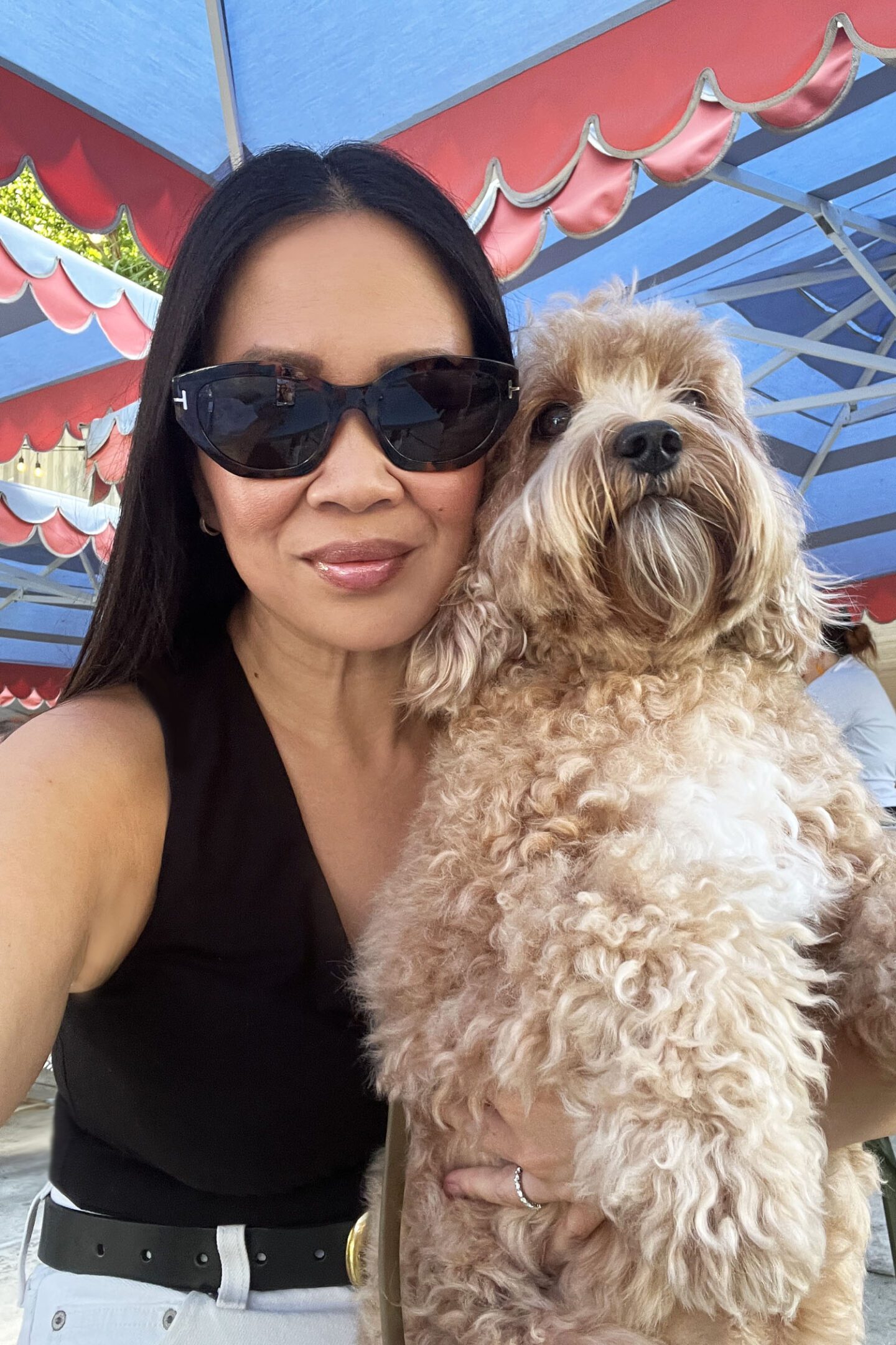 Tom Ford Penny 55mm Polarized Geometric Sunglasses