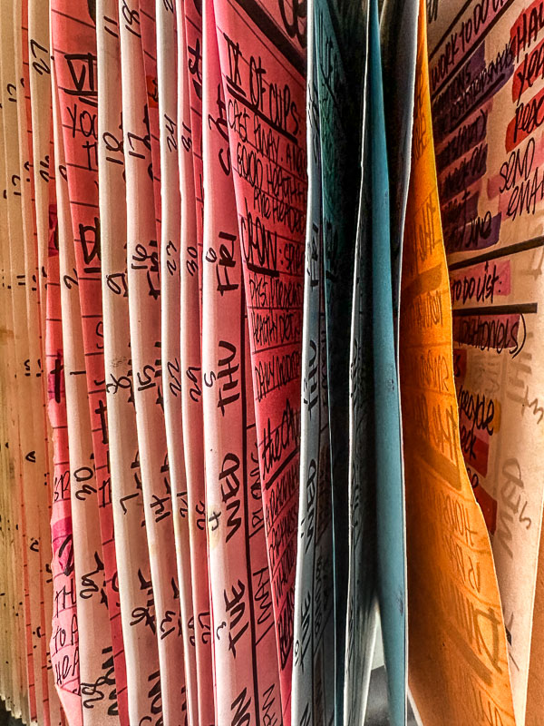 My Everyday Life Week 31 of 2025- Tracy Benjamin of Shutterbean.com