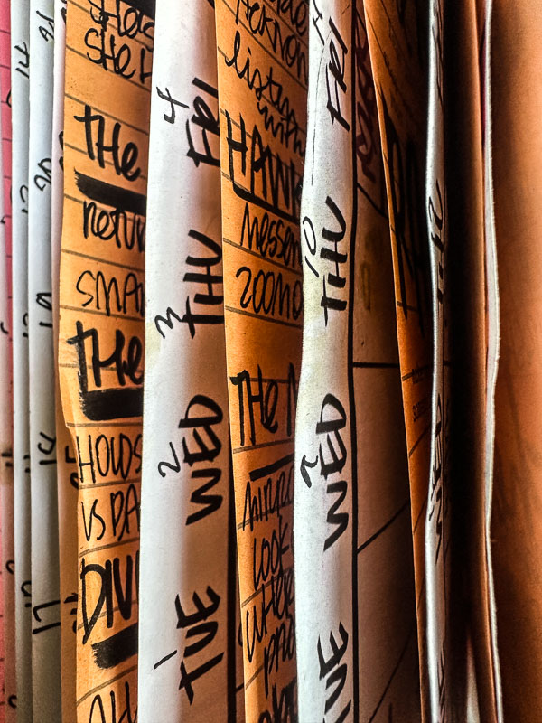 My Everyday Life Week 31 of 2025- Tracy Benjamin of Shutterbean.com