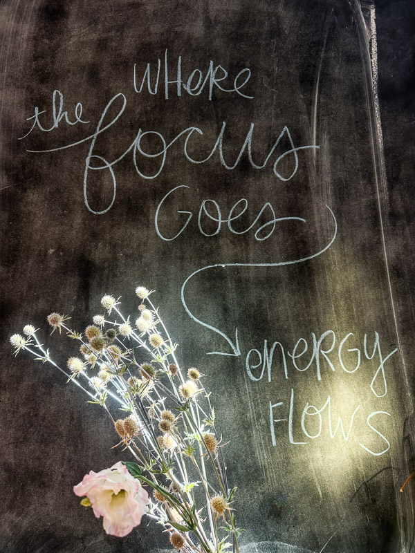 My Everyday Life Week 31 of 2025- Tracy Benjamin of Shutterbean.com