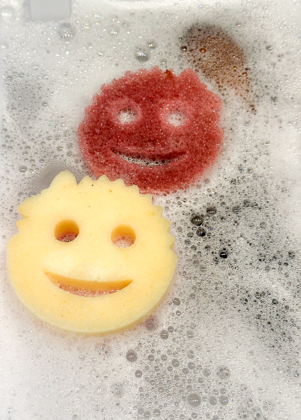 My Everyday Life Week 31 of 2025- Tracy Benjamin of Shutterbean.com