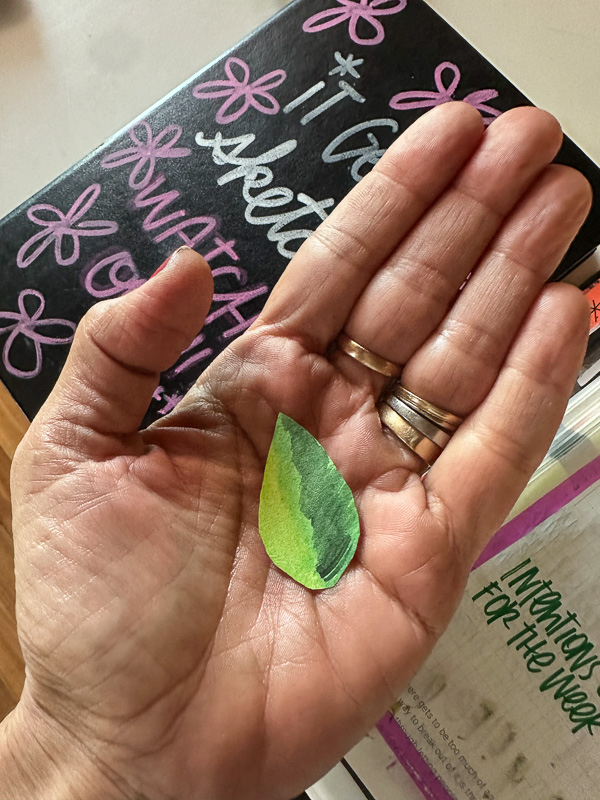 My Everyday Life Week 31 of 2025- Tracy Benjamin of Shutterbean.com