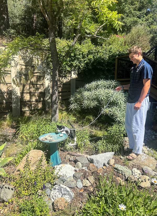 My Everyday Life Week 31 of 2025- Tracy Benjamin of Shutterbean.com