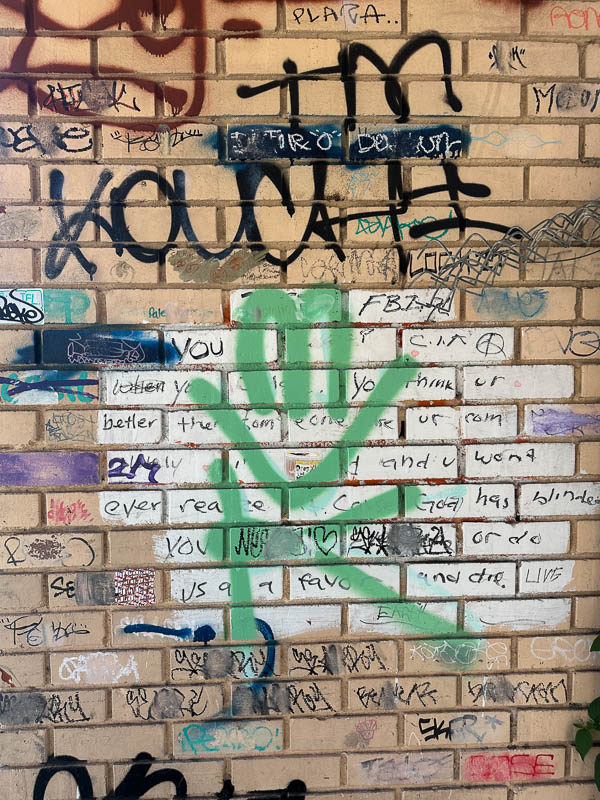 My Everyday Life Week 31 of 2025- Tracy Benjamin of Shutterbean.com