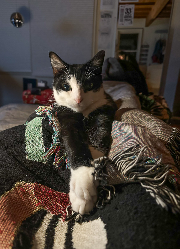 My Everyday Life Week 31 of 2025- Tracy Benjamin of Shutterbean.com