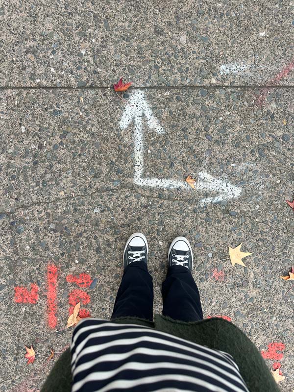 My Everyday Life Week 50 of 2025- Tracy Benjamin of Shutterbean.com