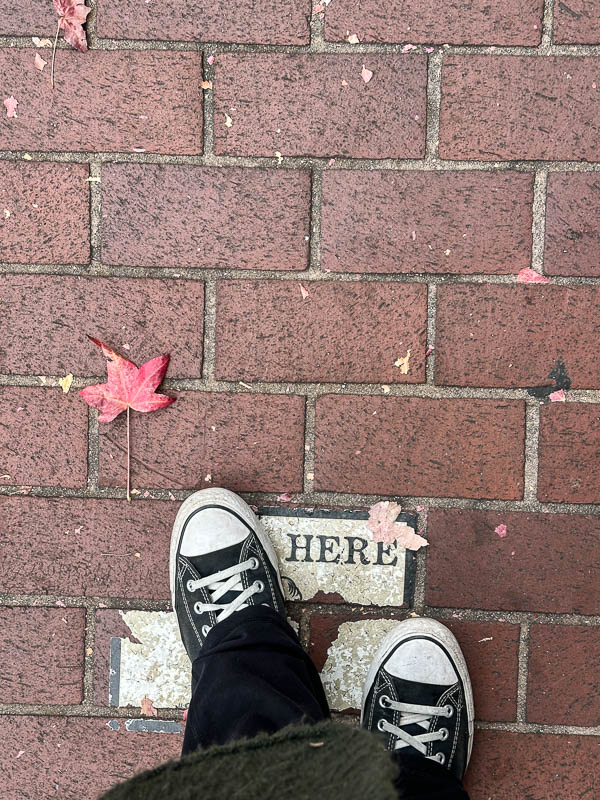 My Everyday Life Week 50 of 2025- Tracy Benjamin of Shutterbean.com