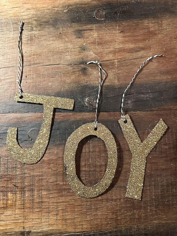 My Everyday Life Week 50 of 2025- Tracy Benjamin of Shutterbean.com