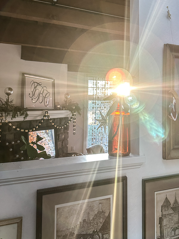 My Everyday Life Week 50 of 2025- Tracy Benjamin of Shutterbean.com