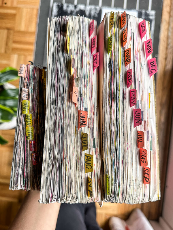 My Everyday Life Week 50 of 2025- Tracy Benjamin of Shutterbean.com